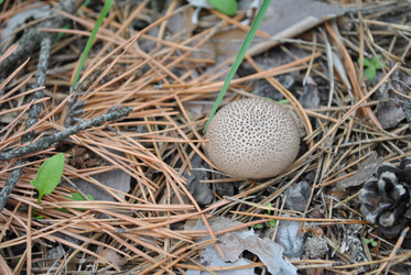 Similar image 1482485