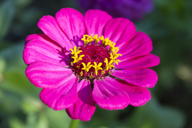 Similar image 1482505