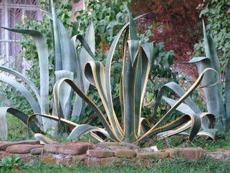 Similar image 1482509