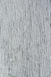 Similar image 1482526