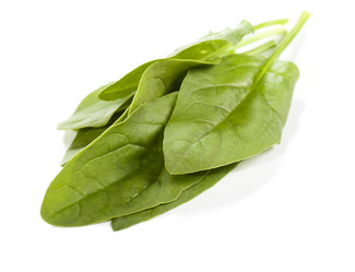 Similar image 1482527