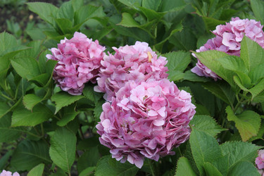 Similar image 1482571