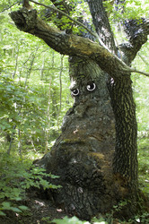 Similar image 1482582