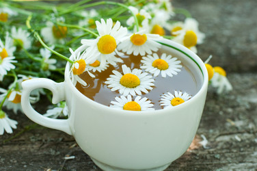 Similar image 1482623