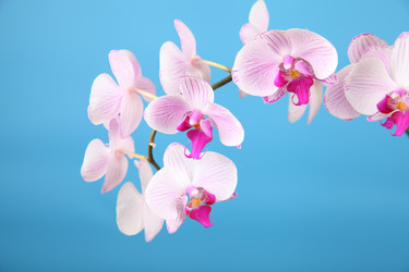 Similar image 1482713