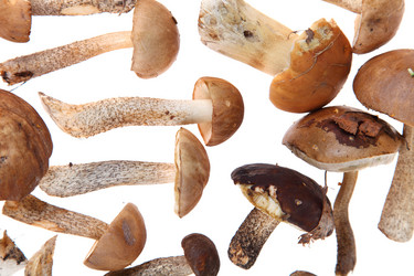 Similar image 1482724