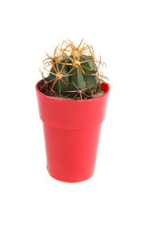 Similar image 1482727