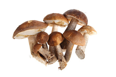 Similar image 1482730