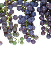 Similar image 1482731