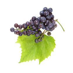 Similar image 1482732