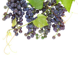 Similar image 1482733