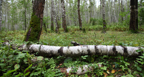 Similar image 1482744