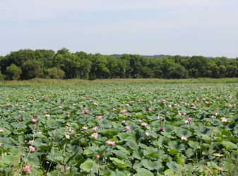 Similar image 1483039