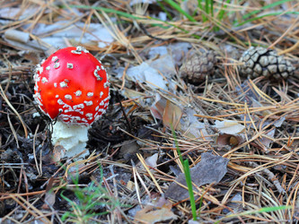 Similar image 1483095