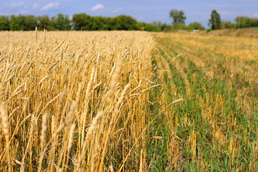 Similar image 1483098