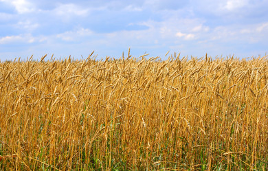 Similar image 1483099