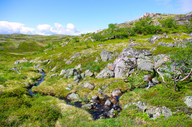 Similar image 1483124