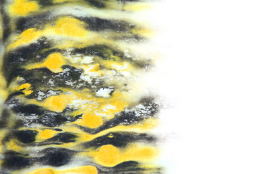 Similar image 1483212