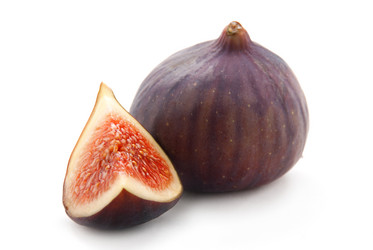 Similar image 1483675