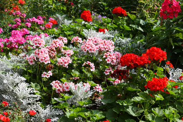 Similar image 1484010