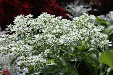 Similar image 1484011