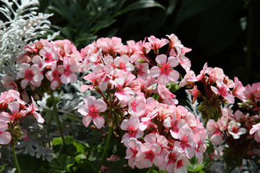 Similar image 1484020