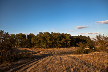 Similar image 1484028