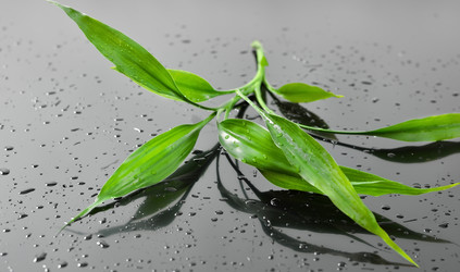 Similar image 1484041