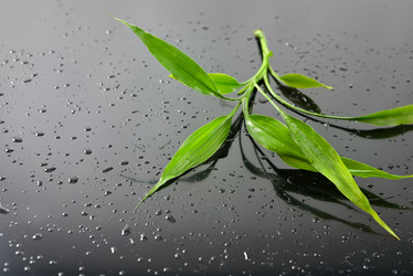 Similar image 1484042