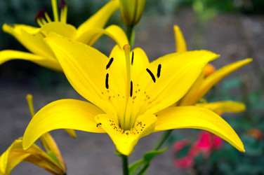 Similar image 1484059