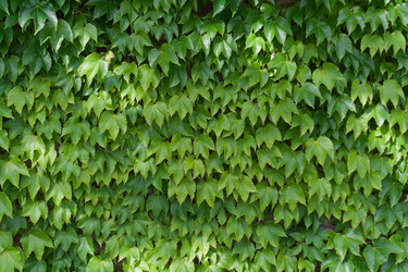 Similar image 1484067