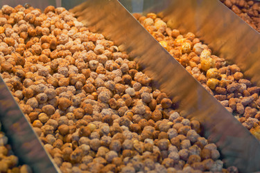 Similar image 1484070