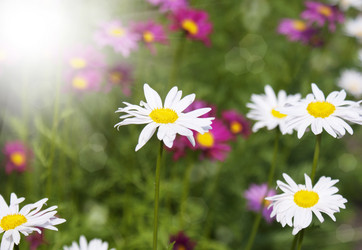 Similar image 1484094