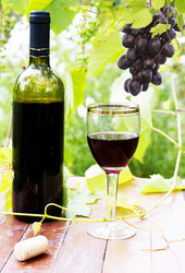 Similar image 1484100