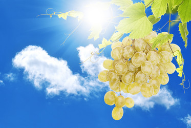 Similar image 1484103