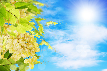 Similar image 1484105