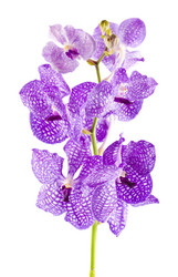 Similar image 1484109