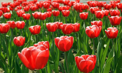 Similar image 1484118