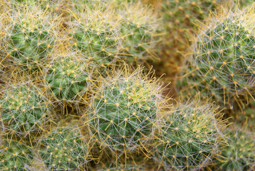 Similar image 1484119