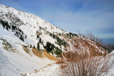 Similar image 1484125