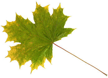 Similar image 1484126