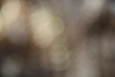 Similar image 1484131