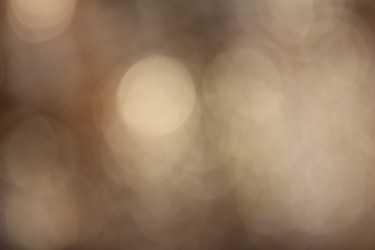 Similar image 1484132