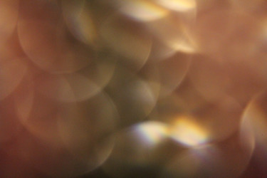 Similar image 1484134