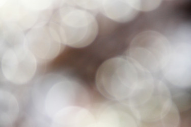 Similar image 1484149