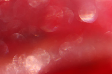 Similar image 1484158