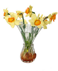 Similar image 1484163