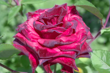 Similar image 1484167