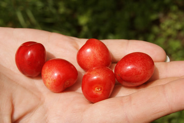 Similar image 1484171