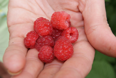 Similar image 1484175